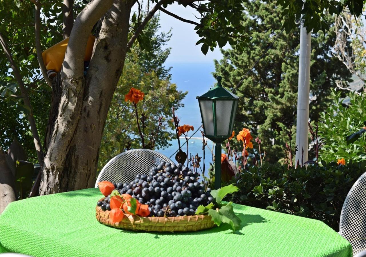 Apartment Ivana Borak Omiš Εξωτερικό φωτογραφία